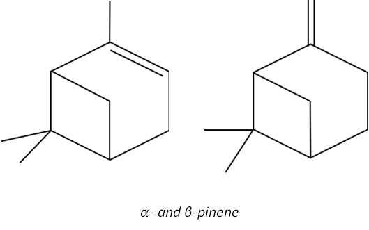 a- and b-pinene structure
