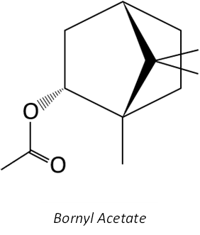 Bornyl Acetate Structure