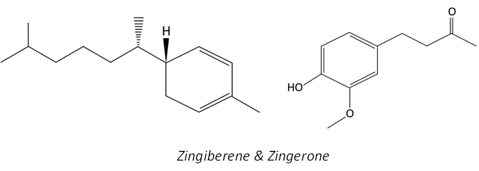 Zingiberene & Zingerone